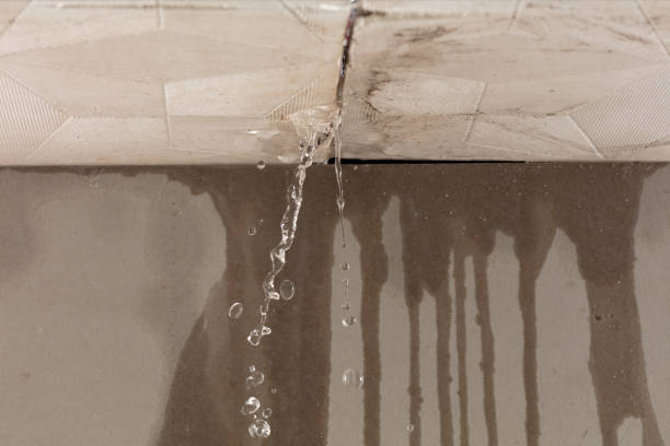 Professional Sewage Cleanup technician working in Medina, WA